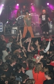 Koncert zespou Pidama Porno (Krakw - klub Studio)