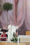 29.07.2016, Brzegi kolo Krakowa, Swiatowe Dni Mlodziezy, World Youth Day 2016 n/z  Czuwanie papiez Franciszek pope Francis